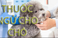 Thuốc ngủ cho ch&oacute;&hellip;?